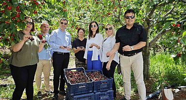 Kaymakam Altun, kırsaldaki çalışmaları inceledi