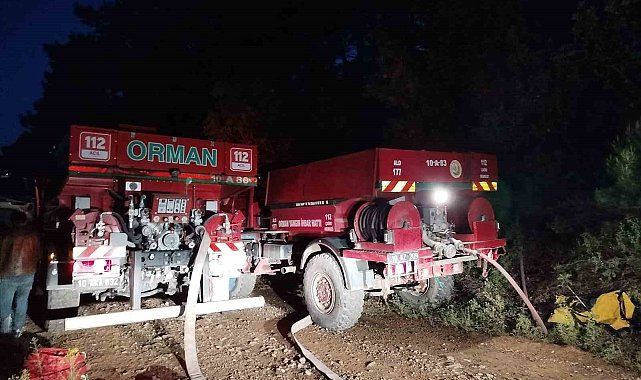 Kazdağları'nda orman yangını