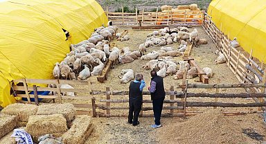 Keçiören'de kurban satış alanları için başvurular başladı