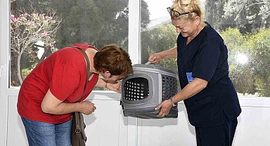 Kedi Kısırlaştırma Merkezi'ne hayvanseverlerin ilgisi her geçen gün artıyor