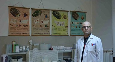 Keneden korunmak için günlük vücut kontrolü yapmalı