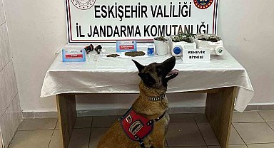 Kenevir yetiştirip uyuşturucu satan şahıslar jandarma tarafından yakalandı