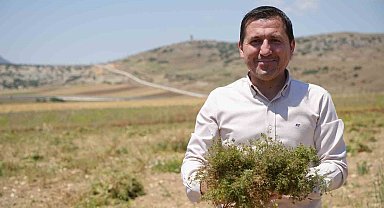 Kilis'te kimyon hasadı başladı