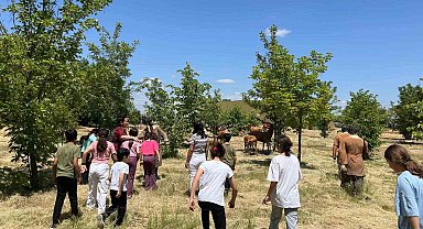 Kırklareli'nde koruma altındaki çocuklara Aşağıpınar gezisi