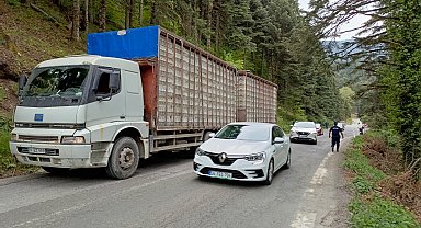 Kontrolden çıkan otomobil uçuruma yuvarlandı: 2 yaralı