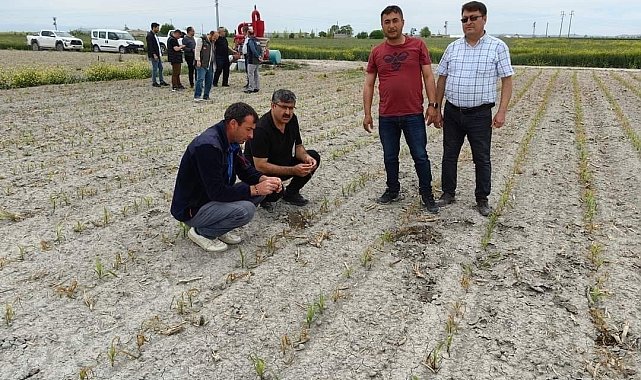 Konya'da ekili alanlarda incelemeler sürüyor