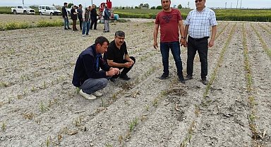 Konya'da ekili alanlarda incelemeler sürüyor