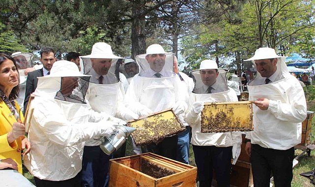 Kovanda arı, Yığılca'da hayat var