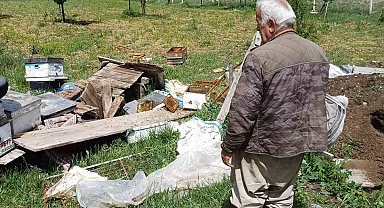 Köye inen ayı arı kovanlarını parçaladı