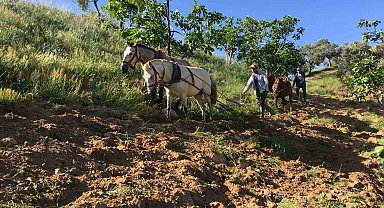 Köyünü terk etmeyen gençler günlük 3 bin liraya çalışıyor