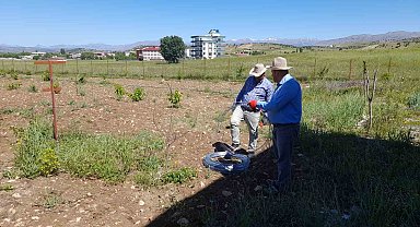 Kulp ilçesinde, örtü altı üzüm yetiştirilecek
