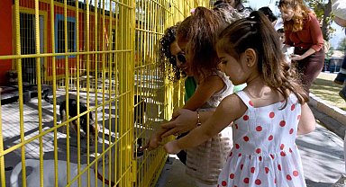 Kuşadası'nda patili can dostlar artık hafta sonları da ziyaret edilebilecek