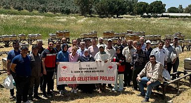 Kütahya'da ana arı ve arı sütü üretimi kursu
