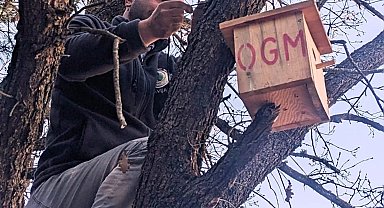 Kütahya'da ormanlara asılan yeni kuş yuvalarında ilk yavrular dünyaya geldi