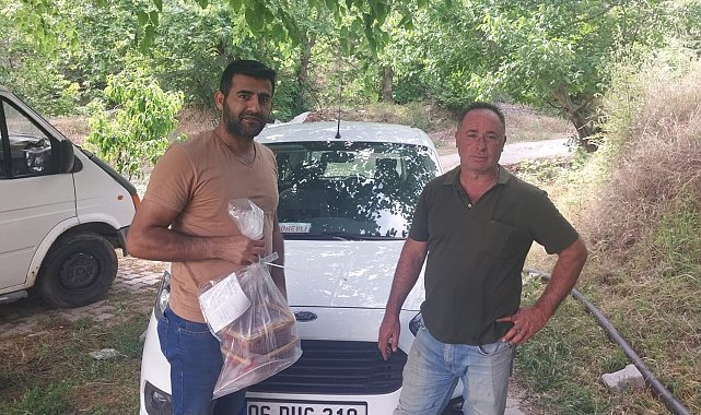 Kuyucak'ta hasat öncesi pestisit denetimleri