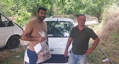 Kuyucak'ta hasat öncesi pestisit denetimleri