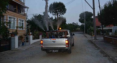 Lapseki Belediyesi sinek ve haşerelere karşı ilaçlama çalışmalarına başladı