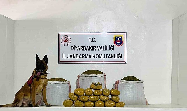 Lice'de 76 kilo toz esrar ele geçirildi
