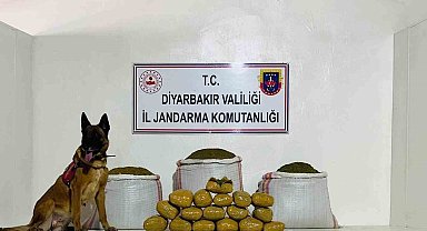 Lice'de 76 kilo toz esrar ele geçirildi