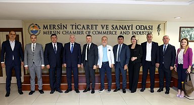 Lokmanoğlu, oda ve borsa temsilcileriyle sektörel sorunları değerlendirdi