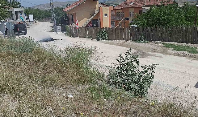 Malatya'da, yol tepkisi