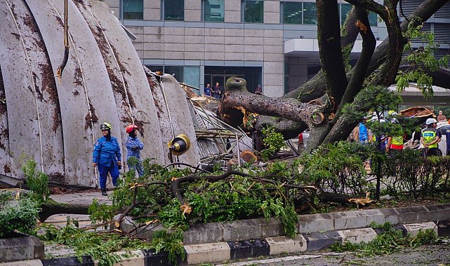 Malezya'da ağaç devrildi: 1 kişi öldü, 17 araçta hasar oluştu