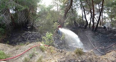 Manavgat'ta orman yangını ucuz atlatıldı