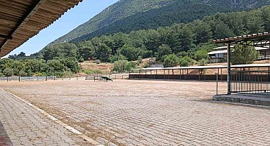 Manisa Canlı Hayvan Borsası 2024 Kurban Bayramı'na hazır