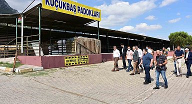 Manisa'nın en büyük ilçesinde kurban pazarı olmayacak