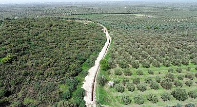 Manisalı çiftçiye Çamönü müjdesi