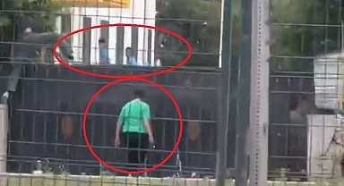Mardin'de kız öğrenci tabancayla okul kapısına dayandı