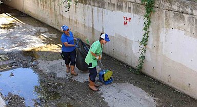 Marmaris'te derelerde ikili mücadele