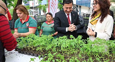 Menteşe'de ata tohumdan üretilen 20 bin fidan ücretsiz dağıtıldı