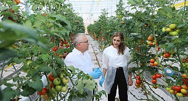 Metan gazı enerjiye, enerjiden üretilen ısı ise domatese dönüşüyor