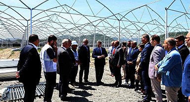 Meyve ve sebze sektöründe Samsun ve İzmir iş birliği