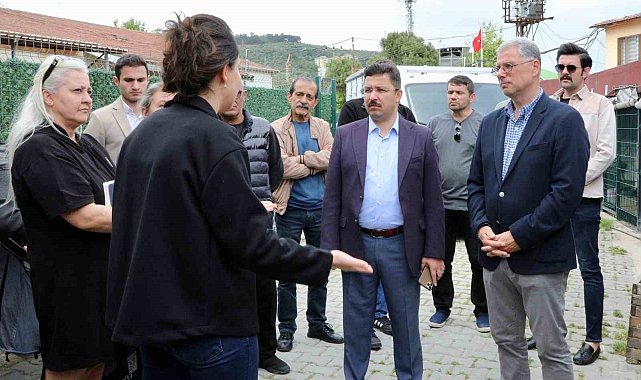 Mudanya'da sokak hayvanları için rehabilitasyon merkezi kuruluyor