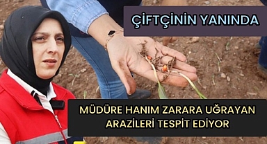 Müdüre Hanım Zarara Uğrayan Arazileri Bizzat Tespit Ediyor