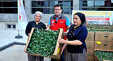 Muğla bu projeyle "enginar üssü" olacak