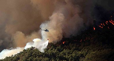 Muğla'da 31 Ekim'e kadar ormanlara giriş yasaklandı