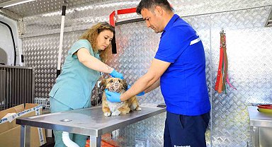 Muğla'daki can dostlar için 'Acil Müdahale' aracı