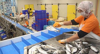 Muğla'dan yapılan her 100 dolarlık ihracatın 72 doları su ürünlerinden
