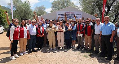 Muğlalı arıcılara damızlık ana arı dağıtımı