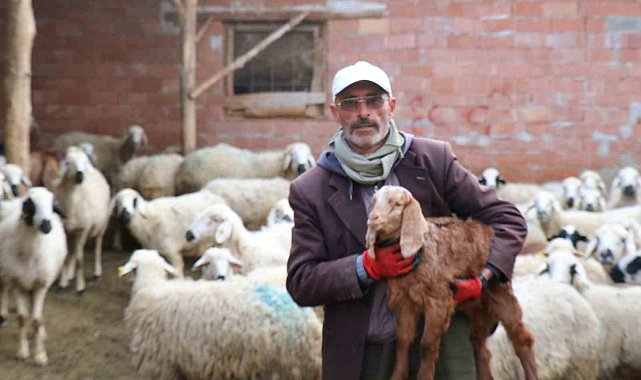 Muhtar olamadı, meşhur oldu