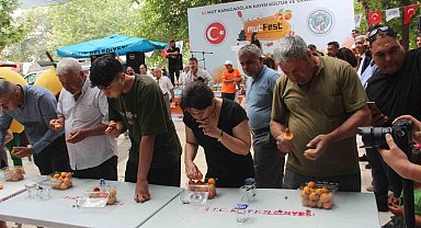 Mut Karacaoğlan ve Kayısı Festivali coşkulu başladı