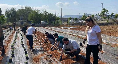 MYO'da tıbbi ve aromatik bitki bahçesi kuruldu