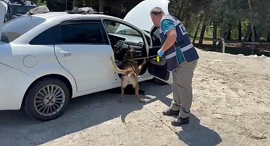Narkotik köpeği zuladaki uyuşturucuyu buldu