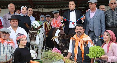 Nesli tükenmesin diye eşeklere sembolik düğün