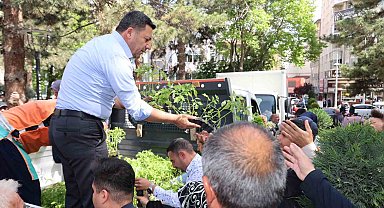 Nevşehir'de 50 bin fide dağıtıldı