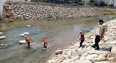 Nusaybin'de Çağ Çağ Deresi'ne atılan çöpler temizlendi