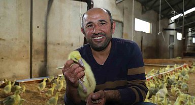 Ordu'da Büyükşehrin 'alım garantisi' üretmeye teşvik etti